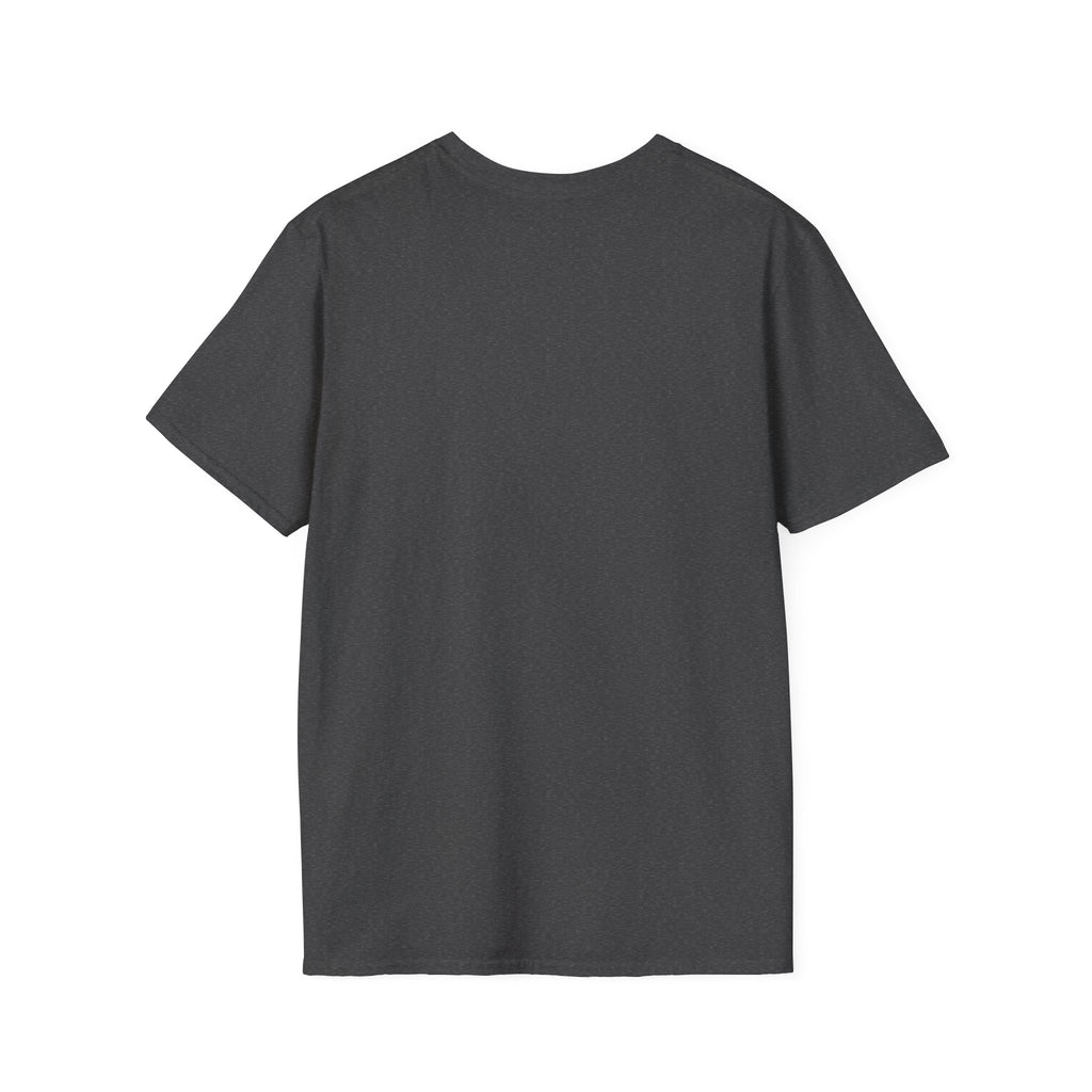Viking "Brothers of Valhalla" T-Shirt — Norse Warrior Graphic Tee