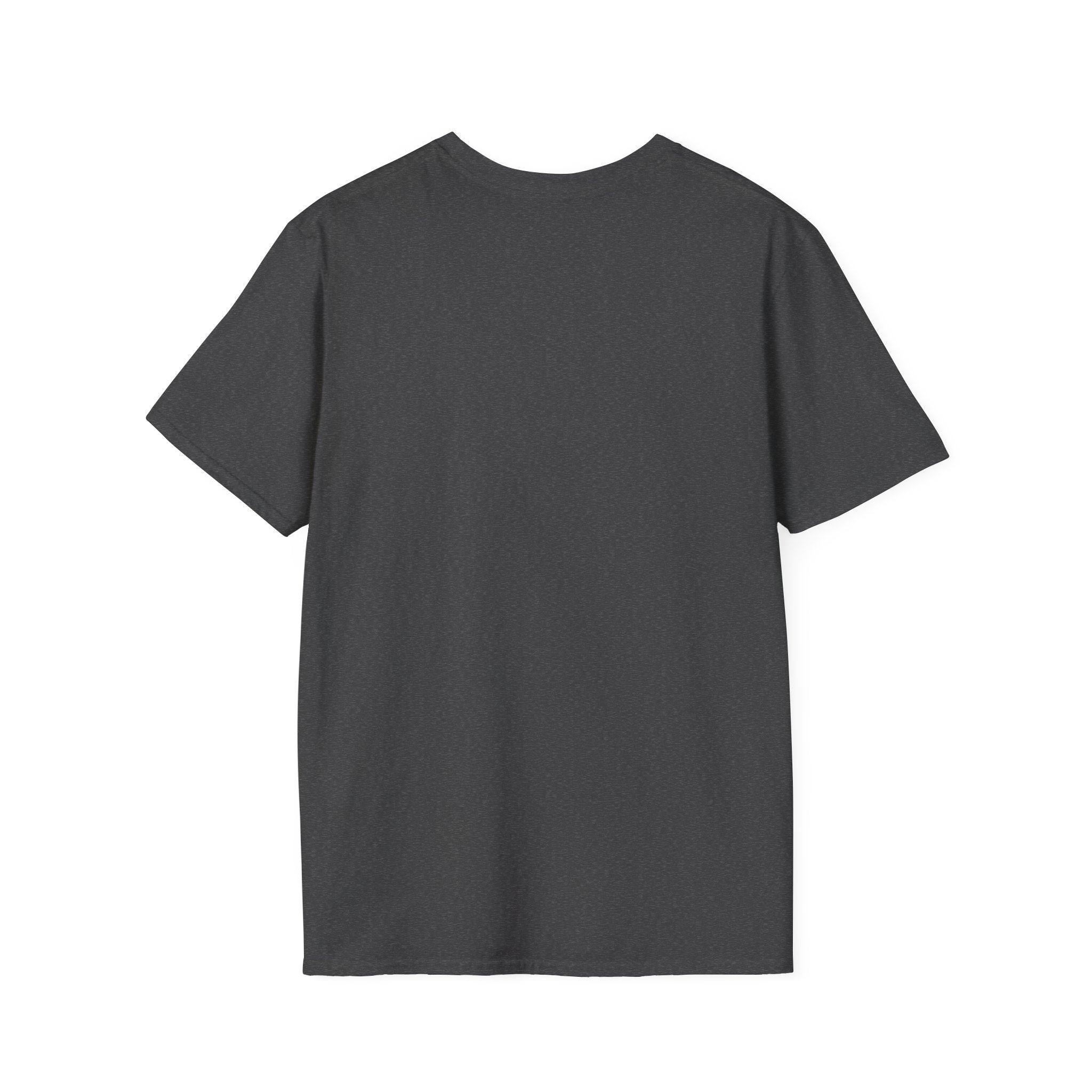 Viking "Brothers of Valhalla" T-Shirt — Norse Warrior Graphic Tee