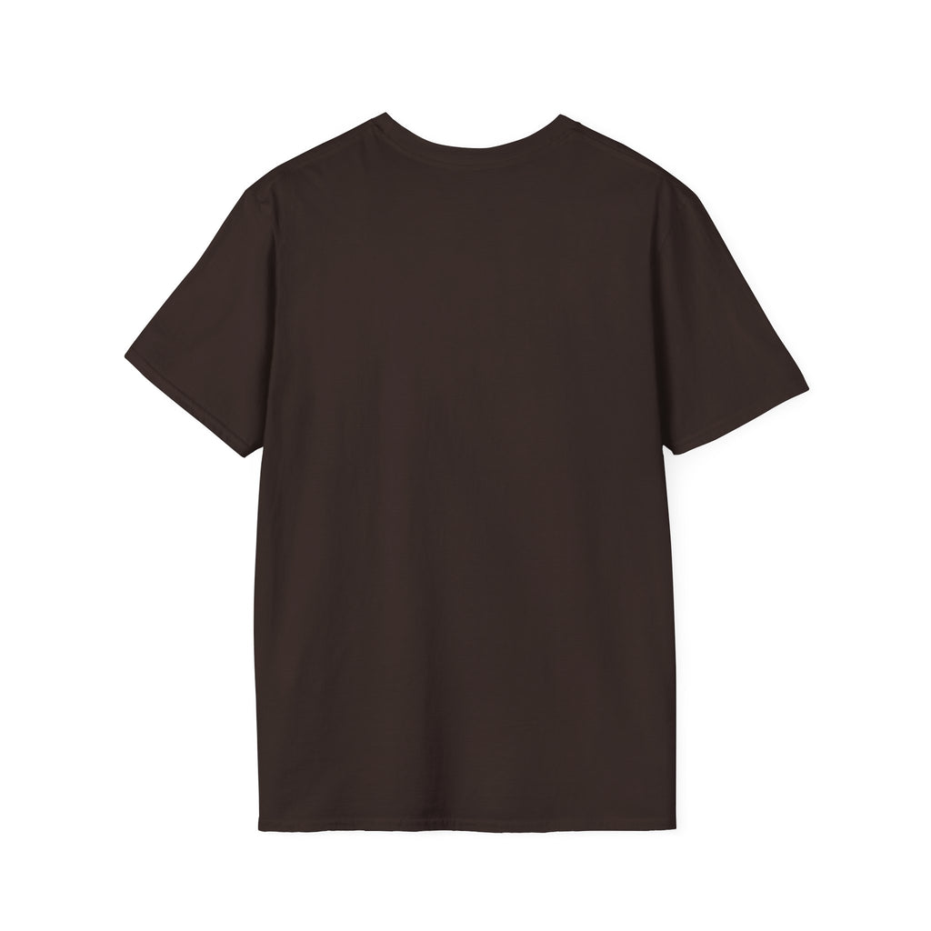 Viking "Brothers of Valhalla" T-Shirt — Norse Warrior Graphic Tee