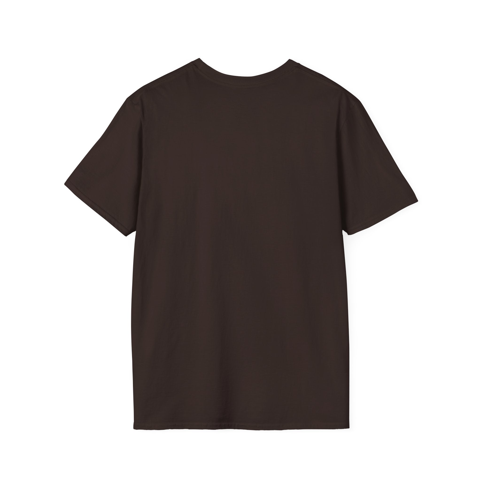 Viking "Brothers of Valhalla" T-Shirt — Norse Warrior Graphic Tee