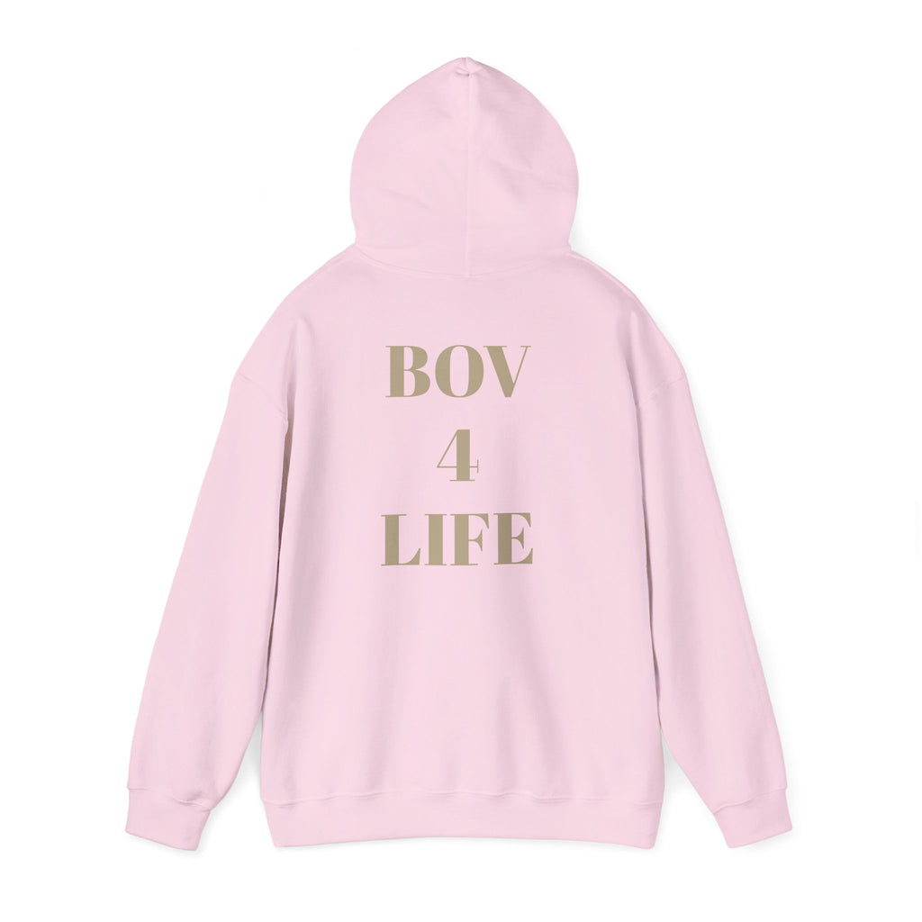 Copy of Unisex Heavy Blend™ Hooded Sweatshirt
